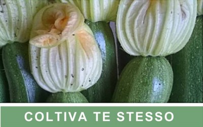 coltiva-te-stesso