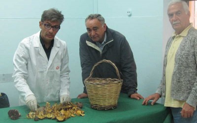 controllo-funghi-Asl