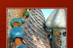 POETI E POESIA: "Squame" (LietoColle), di Clara Nubile - Corriere Salentino