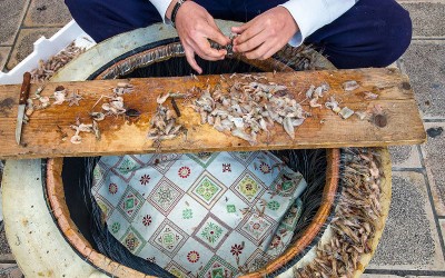 Foto © Rastrelli - tradizione gastronomica a Gallipoli