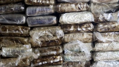 hashish_cocaina