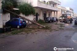 Maltempo, pioggia e danni: crolla tettoia di area servizio, alberi sradicati ed allagamenti in tutto il Salento - Corriere Salentino