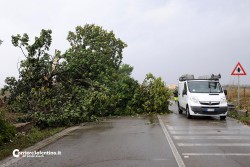 Maltempo, pioggia e danni: crolla tettoia di area servizio, alberi sradicati ed allagamenti in tutto il Salento - Corriere Salentino