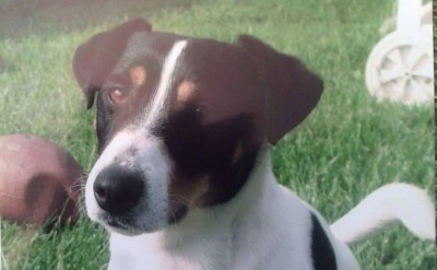 milo