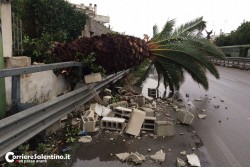 Maltempo, pioggia e danni: crolla tettoia di area servizio, alberi sradicati ed allagamenti in tutto il Salento - Corriere Salentino