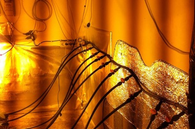 La casa in campagna diventa una fabbrica di "erba", arrestati zio e nipote: coltivavano oltre 200 piantine - Corriere Salentino