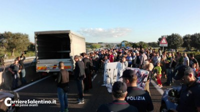 protesta-ulivi7