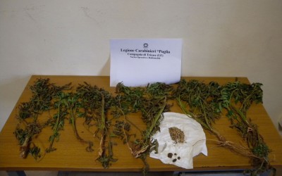 Foto-Sostanza-Stupefacente