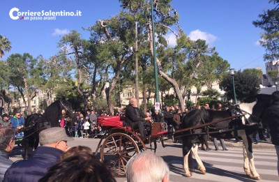 benedizione-cavalli2