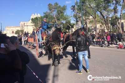 La benedizione dei cavalli a Galatina - Corriere Salentino