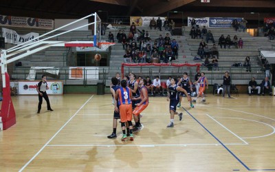 canestro_new_basket_le