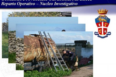Una polveriera nel muretto a secco della masseria: maxi sequestro di armi, munizioni e tritolo - Corriere Salentino