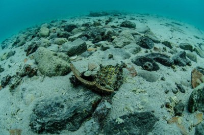 Porto Cesareo: dalla sabbia riaffiora il relitto di un’imbarcazione in legno del XII - XIII secolo - Corriere Salentino