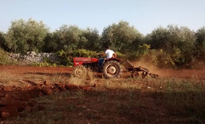 aratura-agricoltura