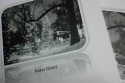 Rinasceresti ancora? Versi liberi di Mariateresa Protopapa - Corriere Salentino