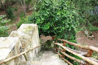Foresta Urbana, riapertura il 6 dicembre - Corriere Salentino