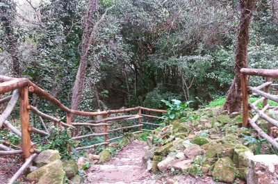 Foresta Urbana, riapertura il 6 dicembre - Corriere Salentino