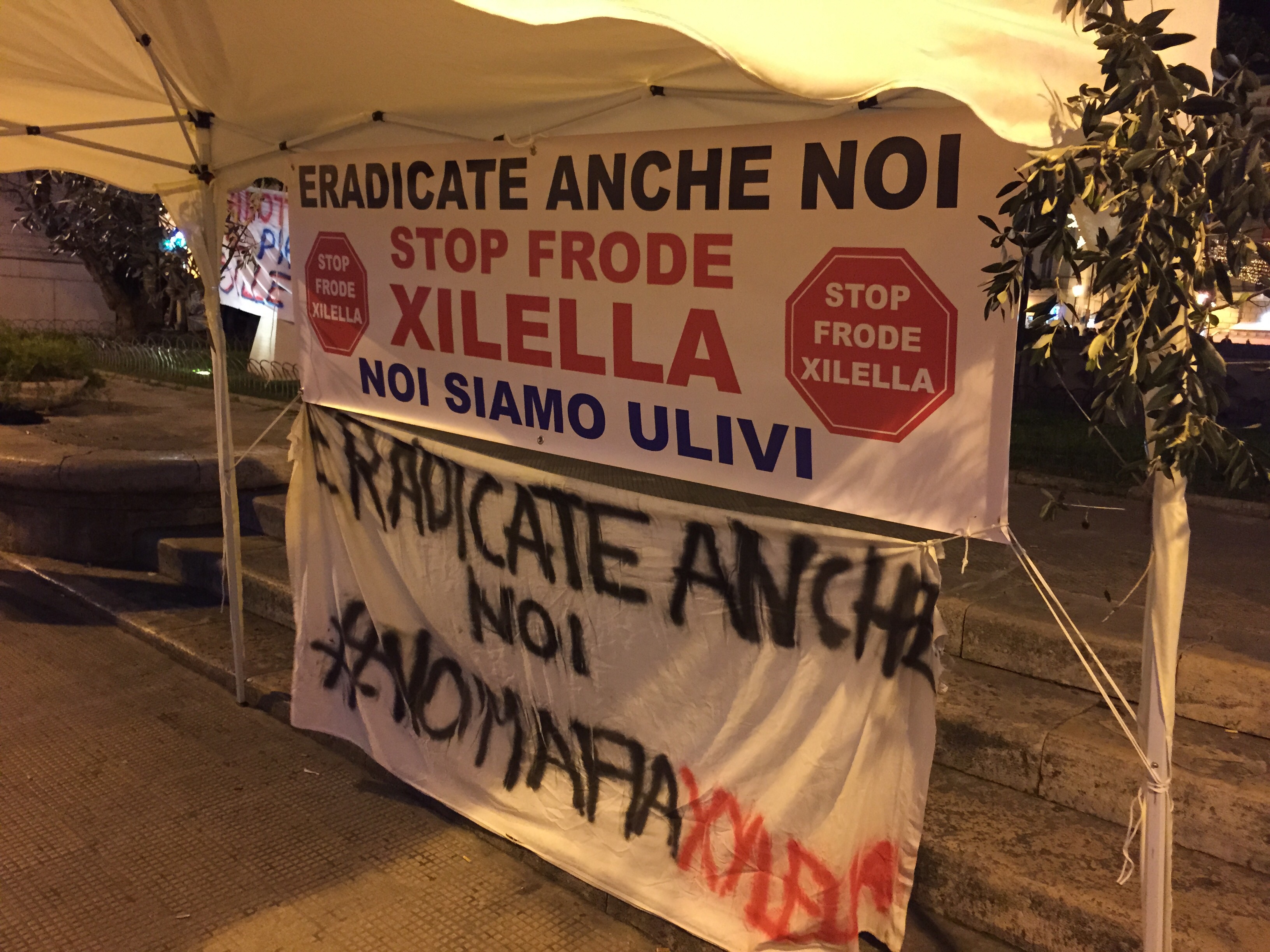 Xylella, gli sconfitti della prima fase ora sono in piazza a festeggiare. Paura per le contromosse dell’Europa