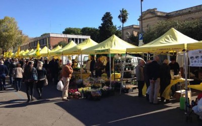 mercato-piazzetta-bottazzi