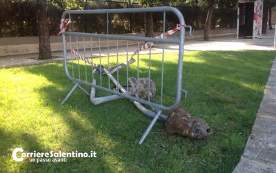 ubriaco-su-villa-comunale-2