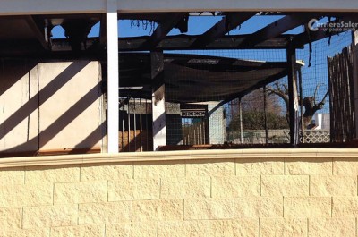 Raid incendiario contro bar-pizzeria, rinvenuta una bottiglietta con benzina: mistero a Frigole - Corriere Salentino