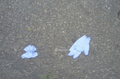 Nel portafogli soltanto 25 euro, bandito solitario spara commerciante di dolciumi ed il nipote: è caccia all'uomo - Corriere Salentino