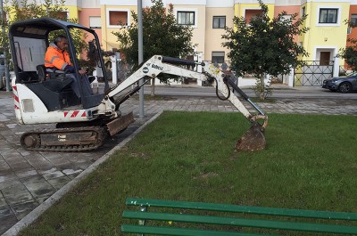 Villa Convento: l'albero donato da Monteco continuerà a vivere nella piccola frazione - Corriere Salentino