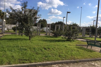 Villa Convento: l'albero donato da Monteco continuerà a vivere nella piccola frazione - Corriere Salentino