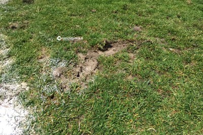 Il Lecce pareggia ad Andria, al "Degli Ulivi" finisce 0 a 0 - Corriere Salentino