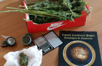 arresto-spaccio-cc