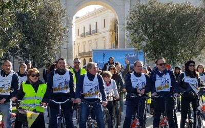 ciclo