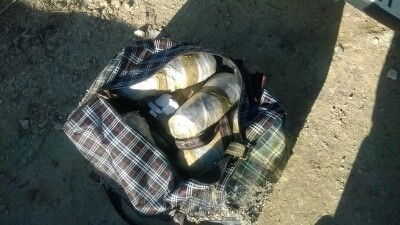 marijuana_san_cataldo (1)