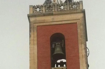 Maltempo: scirocco abbatte nel Salento alberi, pali e cartelloni. Danneggiata anche la statua della Madonna del Rosario di Copertino - Corriere Salentino
