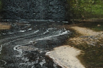 Smaltimento illecito di liquami nei canali di bonifica, giro di vite del Noe nelle aziende agricole - Corriere Salentino