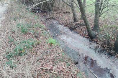 Smaltimento illecito di liquami nei canali di bonifica, giro di vite del Noe nelle aziende agricole - Corriere Salentino