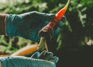 Al via lo show della Biodiversità, dal 5 al 7 febbraio a Martano