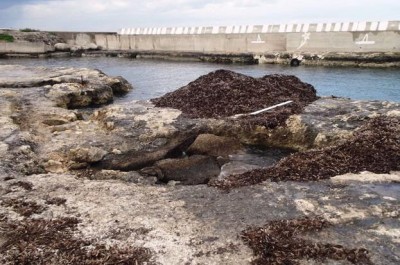 Darsena di San Cataldo, comitato Possibi-Le: "Una vergogna per la città" - Corriere Salentino