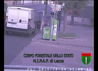 Rubava olio vegetale per riciclo, arrestato e subito scarcerato 45enne