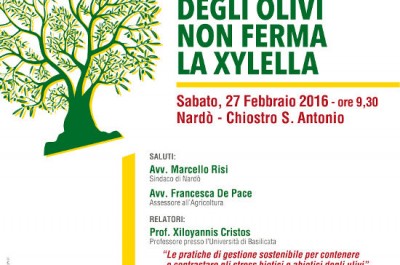 "L’estirpazione degli olivi non ferma la xylella", convegno a Nardò con docenti Russi - Corriere Salentino