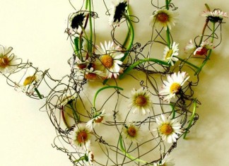 “Arte Viva”, a Patù per il “Darwin Day” la magia della natura