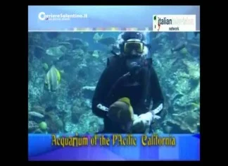 Viaggione: acquarium of Pacific California