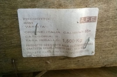 Scandalo a Squinzano: alimenti destinati ai poveri abbandonati nelle campagne - Corriere Salentino