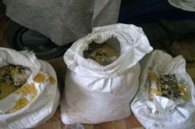 Scandalo a Squinzano: alimenti destinati ai poveri abbandonati nelle campagne - Corriere Salentino