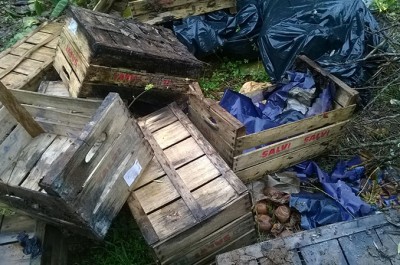 Scandalo a Squinzano: alimenti destinati ai poveri abbandonati nelle campagne - Corriere Salentino