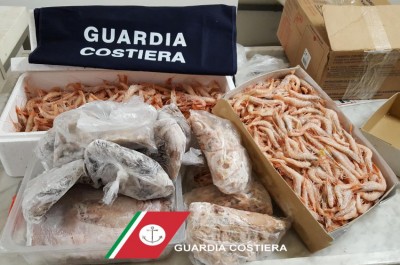Controlli lungo la filiera ittica, sequestrato un quintale di pesce: multe per 9500 euro - Corriere Salentino