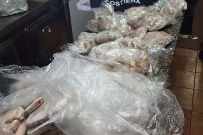 Controlli lungo la filiera ittica, sequestrato un quintale di pesce: multe per 9500 euro - Corriere Salentino