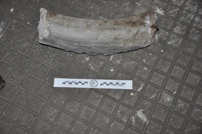 Rissa tra parcheggiatori abusivi per difendere il posto, due arresti - Corriere Salentino