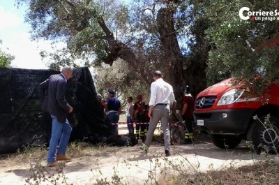 Ucciso e gettato in un pozzo, invocati trent'anni di carcere per l'omicida di Ivan Regoli - Corriere Salentino