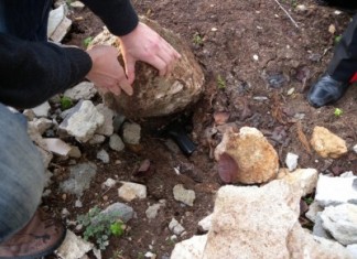 Ferì l’amico con nove colpi di pistola: in Appello condanna ridotta a sei anni