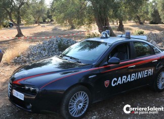 Maiale moribondo nel fondo di sua proprietà, denunciato per maltrattamento di animali